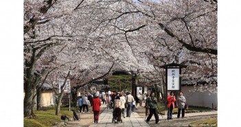 京都に旅行に行きました