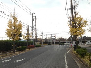 富岡から弁天の道路　見明川中央歩道橋付近