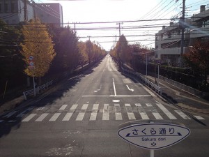 富岡から弁天の道路　境川中央歩道橋付近