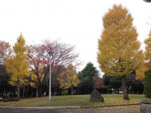 002今川記念公園