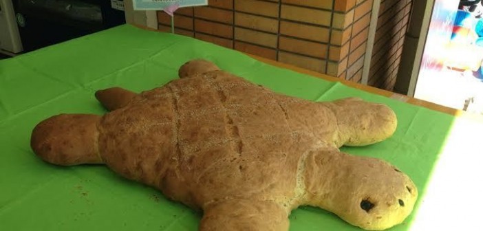 南行徳駅前・南行ホコ天のカメパン