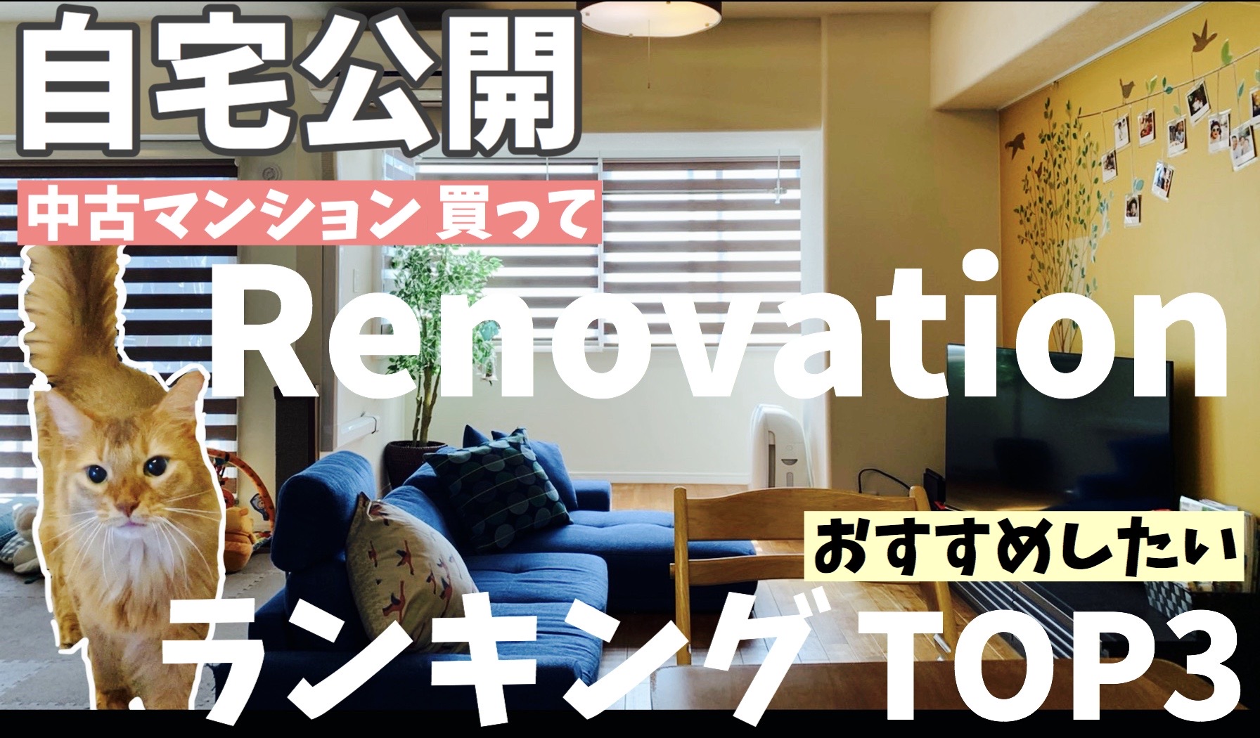 Youtube 自宅公開 中古マンション買ってrenovationおすすめしたいランキングtop３ 株式会社明和地所