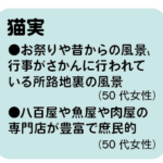猫実の魅力