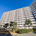 【南向き7階 】冬の午前中でも陽が当たる明るい住戸です。 (外観)